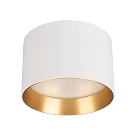 Фото #1 товара Светильник SP-BISCOTTO-R120-12W Warm3300-MIX (WH-GD, 80 deg, 230V) (Arlight, IP54 Металл, 5 лет)