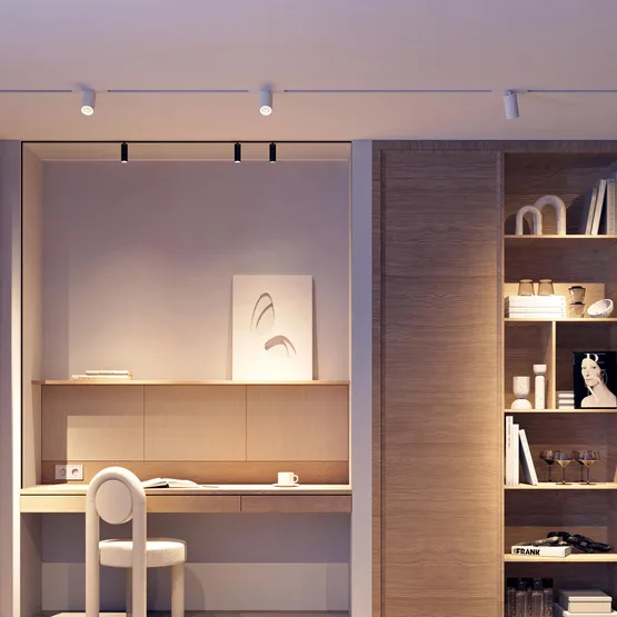 Фото #2 товара Светильник MAG-SPOT-ZOOM-45-R60-15W Day4000 (BK, 15-50 deg, 24V) (Arlight, IP20 Металл, 5 лет)