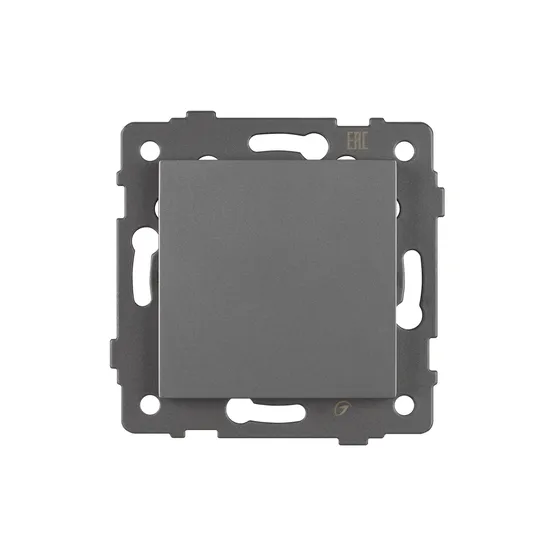 Фото #2 товара Механизм выключателя одноклавишный непроходной SWT-MK01-PL-GR-V (250V, 10A) (Arlight, -)