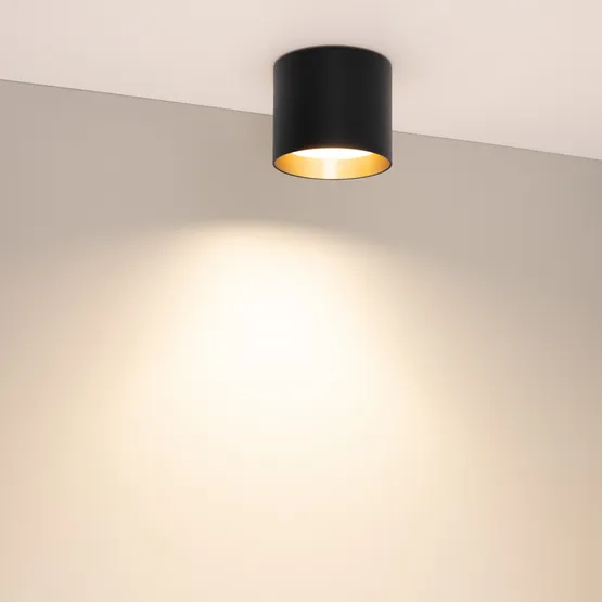 Фото #4 товара Светильник SP-BISCOTTO-R90-8W Warm3300-MIX (BK-GD, 80 deg, 230V) (Arlight, IP54 Металл, 5 лет)