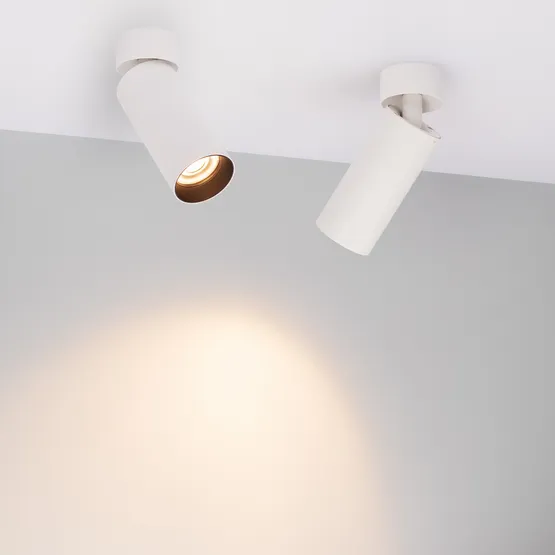 Фото #2 товара Светильник SP-GABI-SURFACE-FLAP-R50-9W Warm3000 (WH, 36 deg, 230V) (Arlight, IP40 Металл, 5 лет)