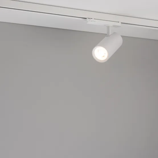 Фото #2 товара Светильник LGD-GERA-4TR-R74-20W Warm3000 (WH, 24 deg, 230V) (Arlight, IP20 Металл, 5 лет)