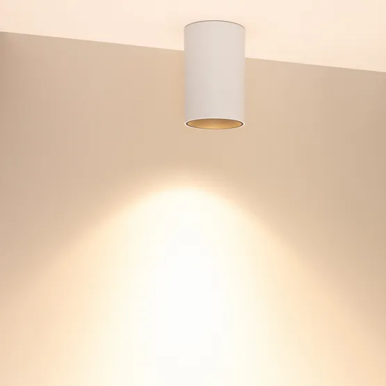 Фото #2 товара Светильник SP-SALT-R95-20W Warm3000 (WH-BK, 40 deg, 230V) (Arlight, IP54 Металл, 5 лет)