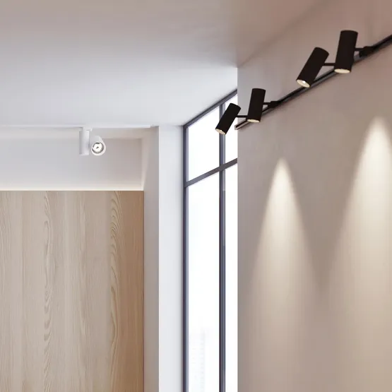 Фото #11 товара Цилиндр накладной SP-POLO-R85S Silver (1-3) (Arlight, IP20 Металл, 3 года)