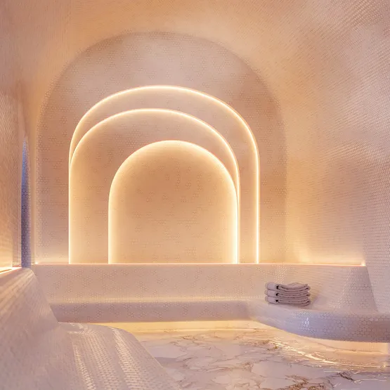 Фото #4 товара Светодиодная лента герметичная COB-PSW-X480-8mm 24V Day4000 (6 W/m, IP67, TWP100, 5m) (Arlight, CRI>90)