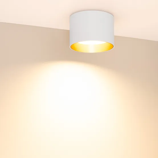 Фото #4 товара Светильник SP-BISCOTTO-R120-12W Warm3300-MIX (WH-GD, 80 deg, 230V) (Arlight, IP54 Металл, 5 лет)