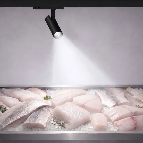 Фото #2 товара Светильник LGD-GERA-4TR-R74-20W Cool SP7500-Fish (Черный, 55 deg, 230V) (Arlight, IP20 Металл, 5 лет)