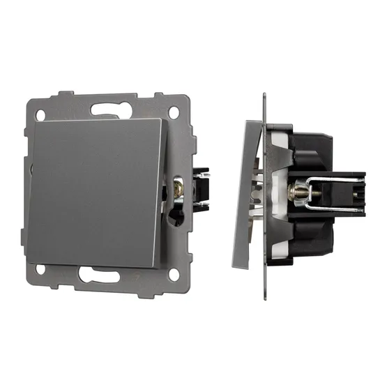 Фото #1 товара Механизм выключателя одноклавишный непроходной SWT-MK01-PL-GR-V (250V, 10A) (Arlight, -)