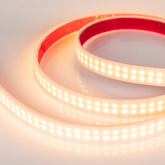 Фото #3 товара Светодиодная лента RTW 2-5000PW 24V Warm2700 2x2 (3528, 1200 LED, LUX) (Arlight, 19.2 Вт/м, IP66)