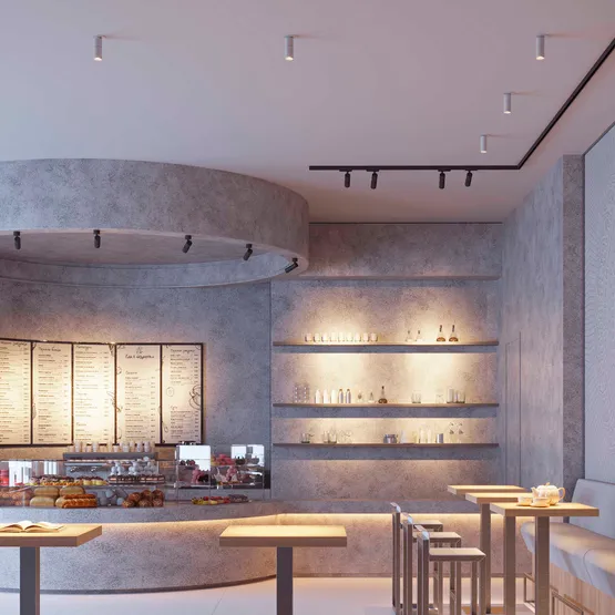 Фото #6 товара Светильник SP-ARTEMIS-SURFACE-FLAP-R55-12W Day4000 (WH, 8-80 deg, 230V) (Arlight, IP20 Металл, 5 лет)