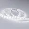 Минифото #3 товара Светодиодная лента RTW 2-5000SE 12V White (3528, 300 LED, LUX) (Arlight, 4.8 Вт/м, IP65)