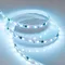 Минифото #2 товара Светодиодная лента SPI-5000-5060-60 12V Cx3 RGB (10mm, 14.4W/m, IP20) (Arlight, бегущий огонь)