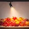 Минифото #2 товара Светильник LGD-GERA-4TR-R74-20W Warm SP3000-Fruit (Черный, 24 deg, 230V) (Arlight, IP20 Металл, 5 лет)