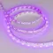 Минифото #3 товара Светодиодная лента RT 2-5000 12V Pink (3528, 300 LED, LUX) (Arlight, 4.8 Вт/м, IP20)