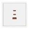 Минифото #4 товара ARL NOBE USB Розетка тип А+С+С софт-тач белый кварц SCT-MUACC-SFPL-FC-WH (65W, QC3) (Arlight, -)