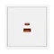 Минифото #2 товара ARL NOBE USB Розетка тип A+C софт-тач белый кварц SCT-MUAC-SFPL-FC-WH (65W, QC3) (Arlight, -)