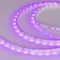 Минифото #2 товара Светодиодная лента RT 2-5000 12V Pink (3528, 300 LED, LUX) (Arlight, 4.8 Вт/м, IP20)